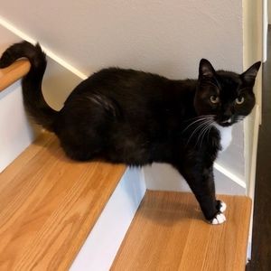 Meet your Posher, Doug